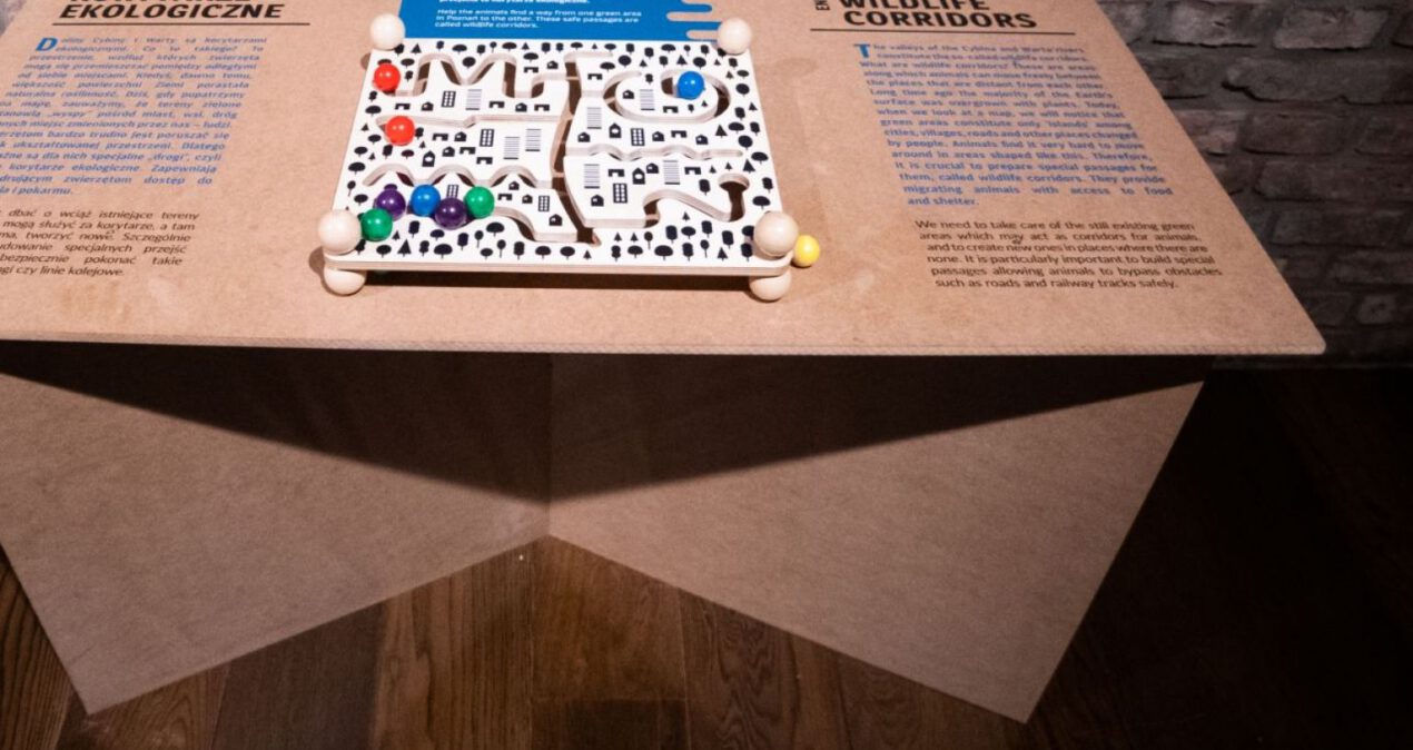 Stół, na którym umieszczona jest kolorowa układanka