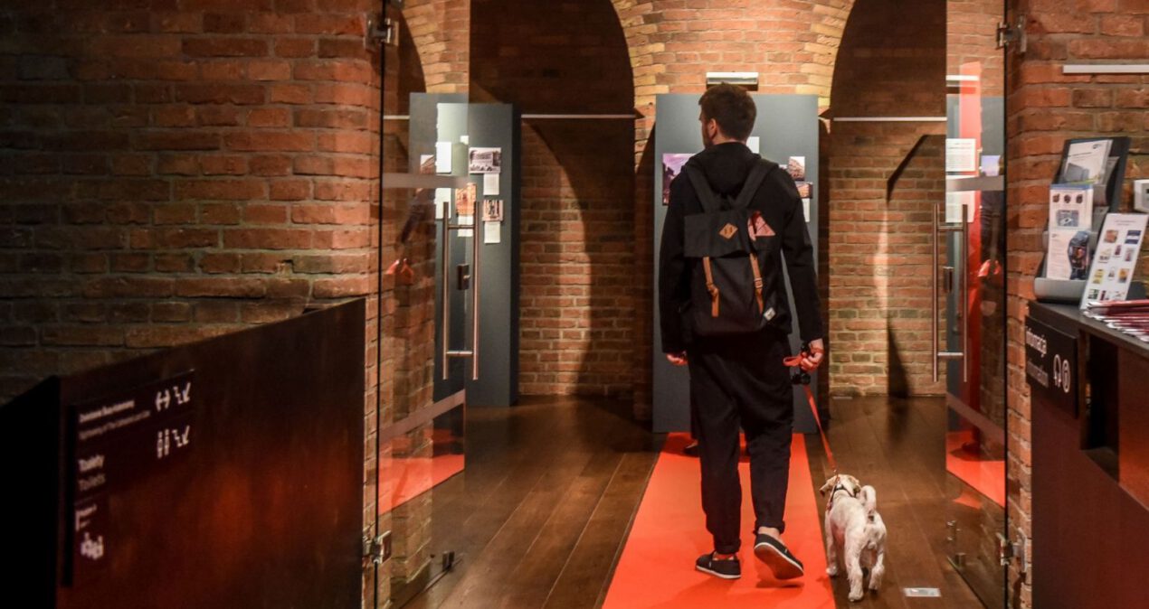 Mężczyzna z małym psem na smyczy wchodzi po czerwonym dywanie do sali wystawienniczej