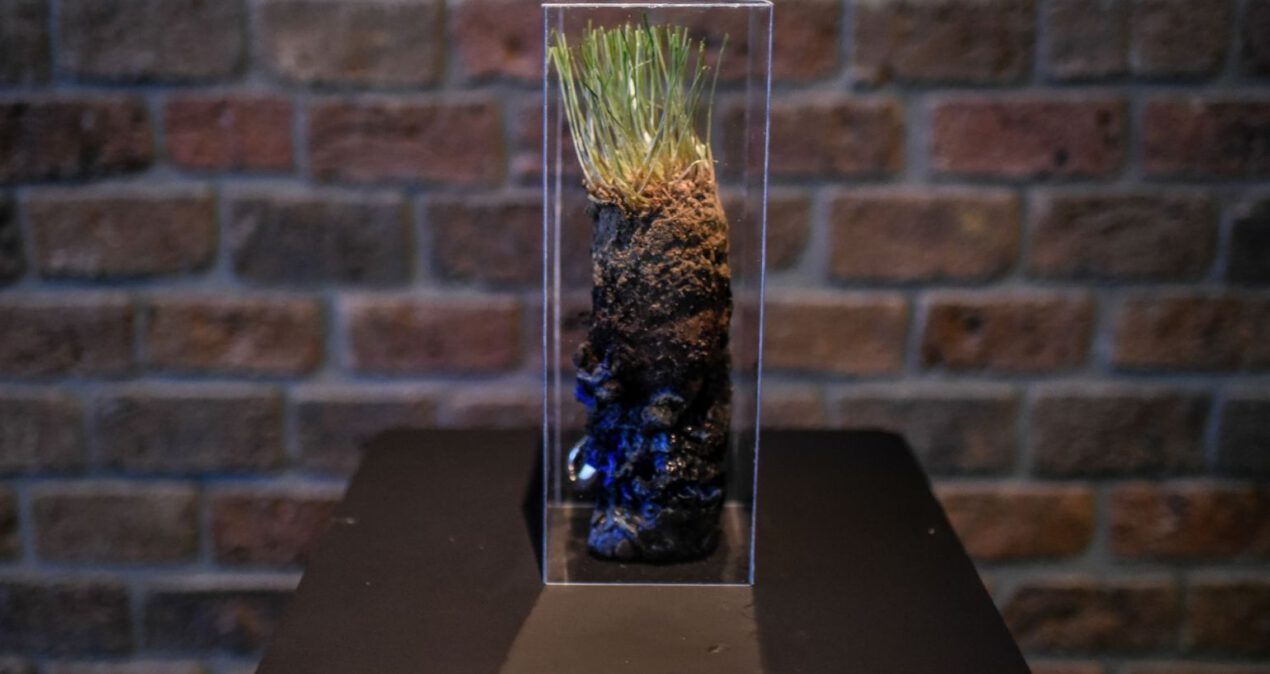Rzeźba w formie słupka z ziemi porośniętego trawą. Zamknięta jest w szklanek gablocie